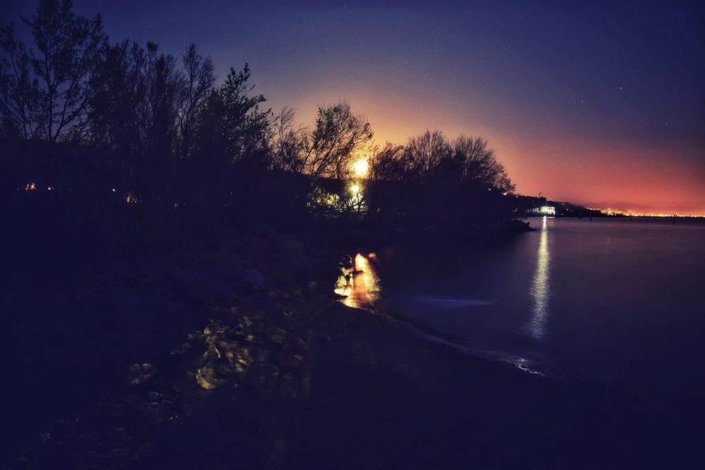bay on the dark 1